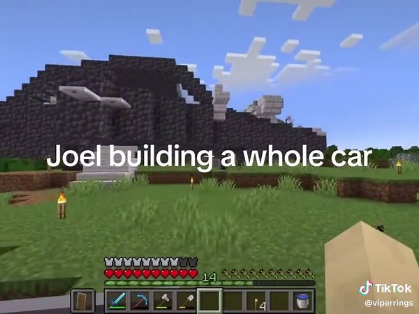 Final Player Energy Trust - Wildlife SMP Episode 2 Highlight