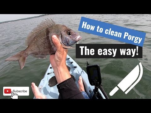 How to filet a Porgy (Scup) the easy way! NO BONES!