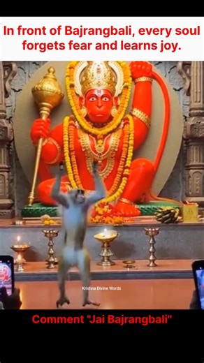 When devotion is real, even a monkey becomes a messenger of bhakti✨ #shorts #viralshorts #hanuman