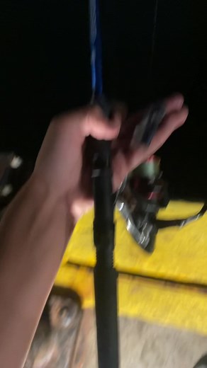 Bream Fishing at Nice Pier 2 in Sydney, Australia
