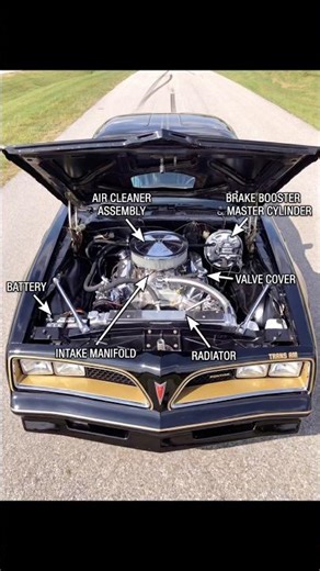 Pontiac firebird. #cars #automobile #carshorts #carparts #pontiac #engineering #engine #car
