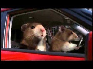Kia Soul - Hamster Commercial "Ride Like the Wind"