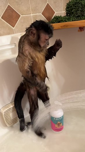 Sunday Fun Day with Brodie The Goldendoodle and Gaitlyn Rae