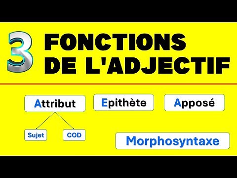 #Attribute #Epithet #Appositive #Functions of the #adjective || #Morphosyntax
