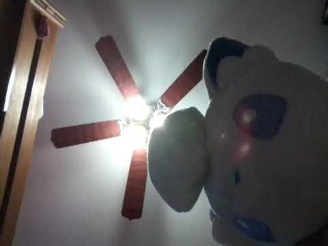 Jigglypuff and Alolan Vulpix camera inspection 2 (Pedro edition)