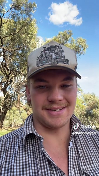 How to tell apart a steer and a heifer