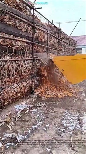 Crushing Barriers: How Excavators Revolutionize Corn Storage Unloading