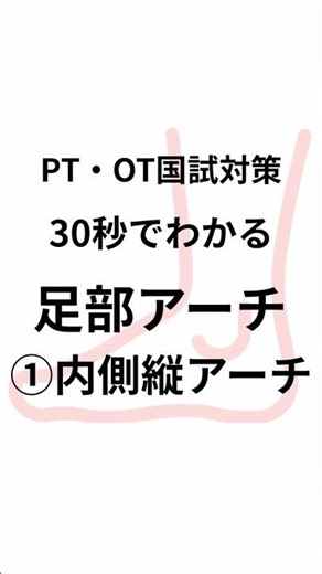 30秒でわかる足部内側縦アーチ #shorts #理学療法士 #作業療法士 #国家試験対策