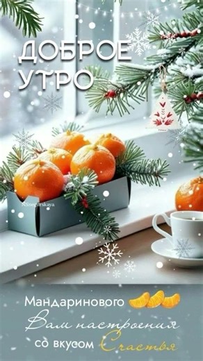 8 декабря 2025 г.