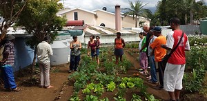 Bâtir des villes heureuses : l’exemple de la démocratie participative à la Réunion