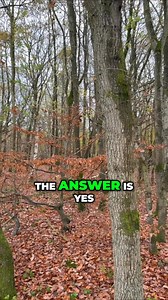 55K views · 389 reactions | Do you want me to find some unclaimed land for you? landclaimer.co.uk #land #fyp #foryou #offgridliving #offgrid #viral #property #investment | Land Claimer | Facebook