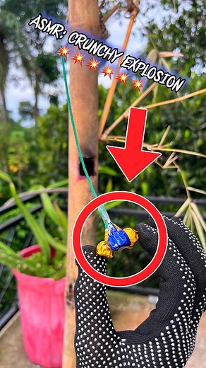 Exploding fireworks in bamboo | safe and fun experiment #firecracker #fireworks #rocket #experinent #crakers #ReelsFB #comedy #FYPFacebook #ViralReels #Holidayseason #ExplorePage #SafeScience #FireworkSafety @sorotan | Fix Aby