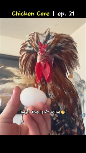Chicken core | ep. 21 🐣