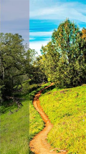 Get PRO Results with These 5 Minute Lightroom Tone Hacks! ✨😱