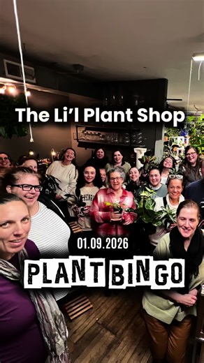 Fun-Filled Plant Bingo Night at Plainville Shop