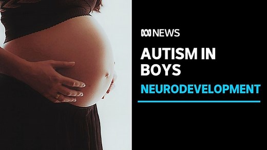 Study links prenatal BPA exposure and autism risk in boys