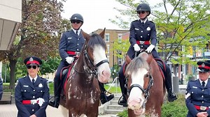 Police bring Mounted Unit back to Ottawa streets