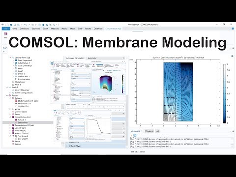COMSOL: Membrane Modeling
