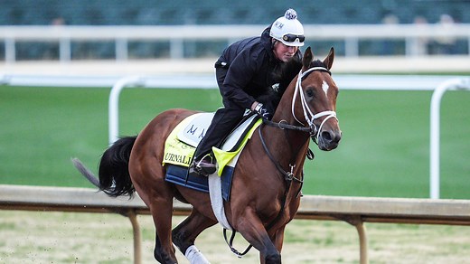 2025 Kentucky Derby Day: Expert picks, tips from Horse Racing Nation's Ed DeRosa