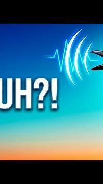 Uh-Uh! How to Identify Fish Crows by Sound | Bird ID in Florida