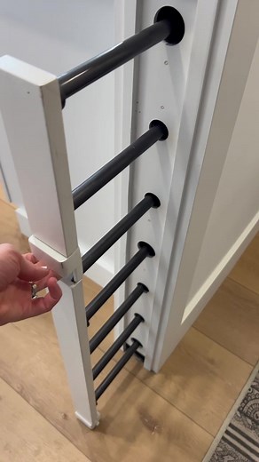 Improving Our Dogs' Lives with a Minimalist Home