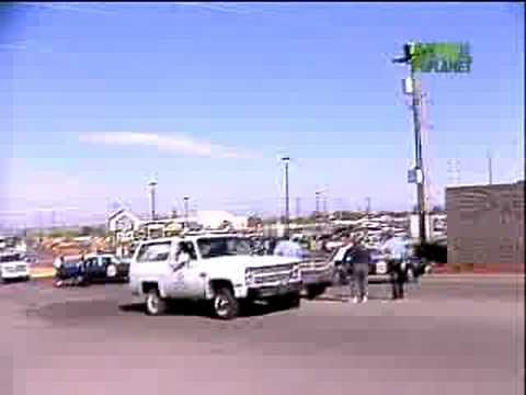 Untamed and Uncut - Bear Gets Electrocuted