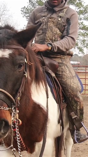 Young bull gets bucked off the horse 👀🤣 full video on YouTube #youtube #horses #buckinghorses #buckinghorse #cowboy