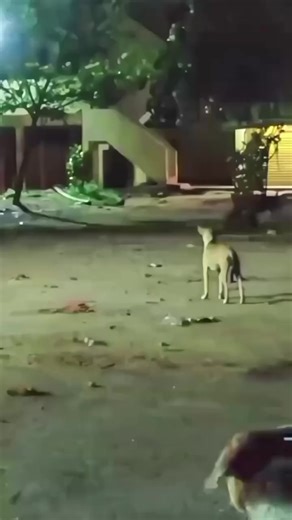 #CapCut #မဖစ်သင့်တာကိုရှောက်တင်မတော့အဆဲခံရမာပပေါ့