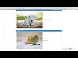 AWS Certified Developer - Associate Tutorial - Step 1 : The Course Overview | packtpub.com