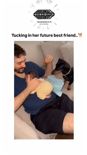 @memes.9099 on Instagram: "#onlyoriginals #theoriginals viral post showcases a tender video of a dog carefully tucking a blanket over a sleeping baby, captioned to evoke their future close bond, amassing over 7,000 likes Shared by , a popular account curating uplifting animal footage, it aligns with trends in pet videos that boost viewer wellbeing by triggering oxytocin release, per studies on human-animal interactions. Replies overwhelmingly praise the scene's purity, reflecting how such clips 