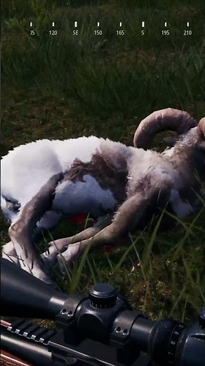 The Ultimate Legendary Hunt–Bighorn Sheep in Hunting Simulator 2 #huntingsimulator #bucks #legendary