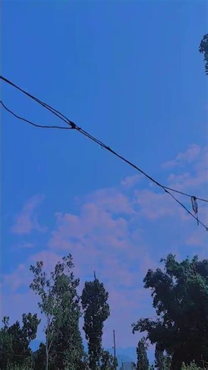 Top Indian Music Hits You Can’t Miss: Trends Revealed!