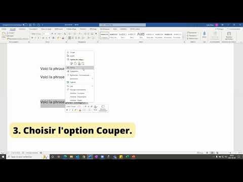 Capsule vidéo Copier Couper et Coller Module 3