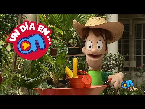 Un día en Once Niños... La manzana sin fin