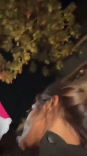 Meganoticias Guadalajara | La alcaldesa Alessandra Rojo de la Vega denunció #ENVIVO que personal de la demarcación fue emboscado por presuntos delincuentes mientras... | Instagram