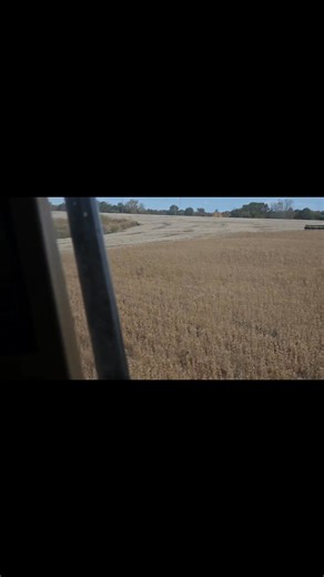 Dad and I running beans | Travis Dixon