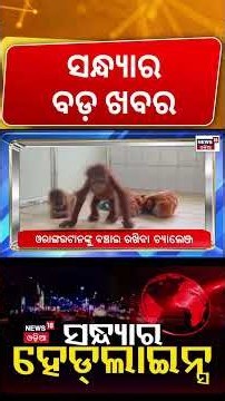 ସନ୍ଧ୍ୟାର ହେଡଲାଇନ୍ସ | Top Headlines | Orangutans In Odisha | BRICS Summit 2026 | Odisha Rain News