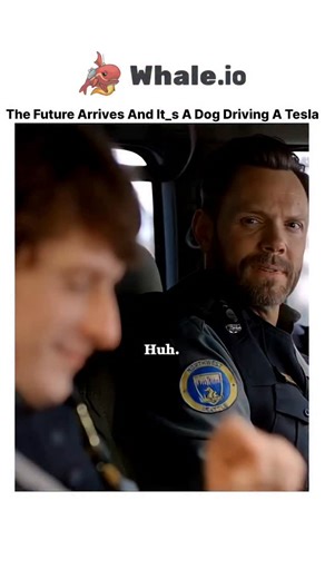 gloey on Instagram: "Video Description This video showcases a hilarious misunderstanding from the TV series Animal Control: The Sighting: Two animal control officers are stunned to see a dog seemingly driving a Tesla through the streets. The Pursuit: The officers pull the vehicle over, with one officer shouting "Paws where I can see 'em!" as he approaches the window. The Reveal: The window rolls down to reveal a human passenger in the back seat. He explains that it is a driverless car and his do