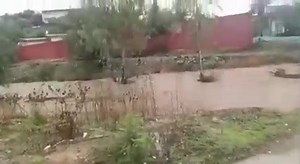 Namibia Daily News on Reels