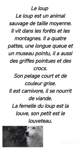 A written expression about the wolf in French