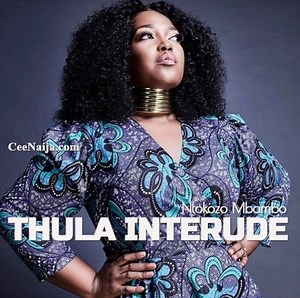 MP3 DOWNLOAD: Ntokozo Mbambo - Thula Interlude [  Lyrics] | CeeNaija