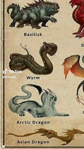 TYPES OF DRAGON #dragon #seaorc #monster #creature #foryou