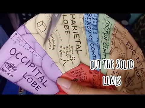 HOW TO CREATE BRAIN HAT / OUTPUT