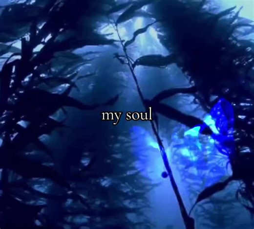 Exploring the Beauty of Dark Blue Colors