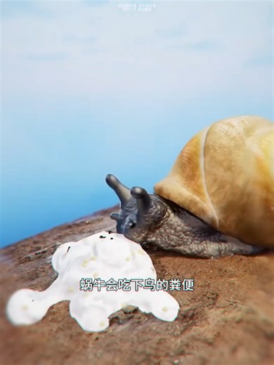 狡猾的寄生虫#科普 #奇闻异事 #涨知识