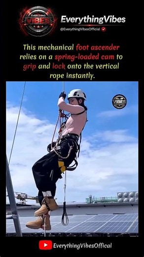 The Pure Physics of Climbing a Vertical Rope Effortlessly 🧗‍♀️