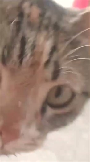 #When you forgot to turn off📴 the camera 📸