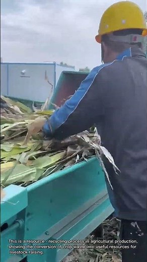 Corn Stalk Crushing Process