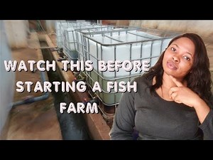 How To START A FISH FARM BUSINESS As A BEGINNER! {DETAILED} 2024 / Important Things To Put In Place