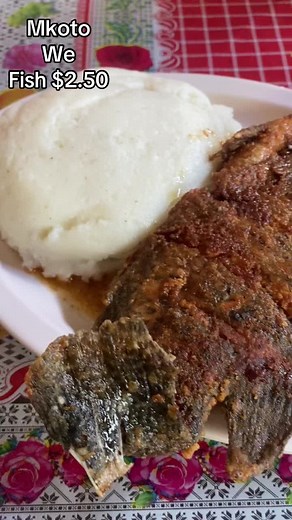 Fishing Tips: Catch More with Fish Finder Techniques